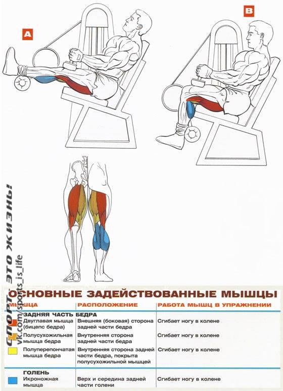  +    . 2#SPORT_@sports_is_life  - 2