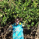 ���� �������, ��������, 47 ��� - ��������� 19 �������� 2015 � ������ ���� ����������