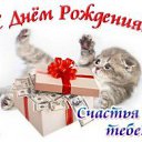 ���� �����, �������, 46 ��� - ��������� 31 ���� 2015 � ������ ���� ����������