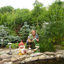 ���� ����, ���������, 65 ��� - ��������� 17 ���� 2015 � ������ ���� ����������