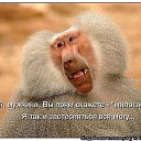 ���� ������, ����������� - ��������� 26 ���� 2015 � ������ ������ ��������