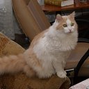 ���� ������, ������� - ��������� 21 ������� 2015 � ������ ���� ����������