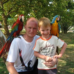 ���� �����, ����-���, 41 ��� - ��������� 13 ���� 2015