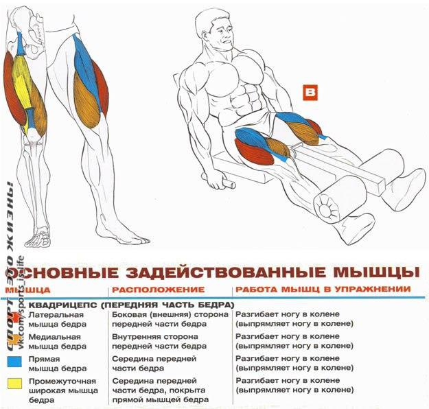  +    . 2#SPORT_@sports_is_life 