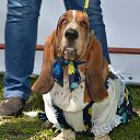 ���� ����������, ������� ��������, 63 ���� - ��������� 16 ������� 2015 � ������ �� ���� ���������