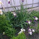 ���� ����, �������� - ��������� 3 ���� 2015 � ������ �������