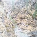 ���� Xylio, ���������, 54 ���� - ��������� 4 �������� 2015 � ������ ���� ����������