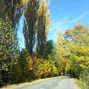  Milosh - Ne Golosuju, , 67  -  5  2015    