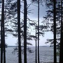 ���� �������, ���������, 54 ���� - ��������� 23 ��� 2015 � ������ ���������