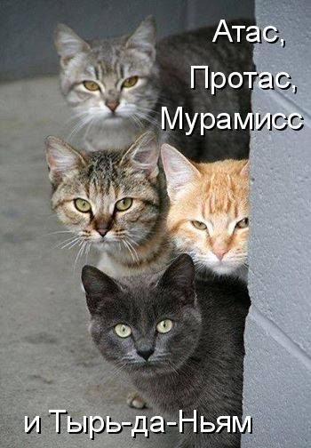       - 10  2015  23:55