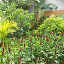    -  ,  -  4  2015    2014.  Lawana.  7-.