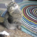 ���� *�������*, ������ - ��������� 10 ��� 2015 � ������ ���� ������