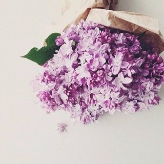 ���� | ����� - 24 ���� 2015 � 03:20 - 5
