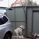 ���� Jam, ������, 43 ���� - ��������� 15 �������� 2015 � ������ ���� ����������