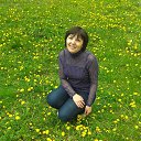 ���� ��������, ������������ - ��������� 1 ���� 2015 � ������ ���� ����������