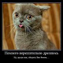 ���� ������, ��������, 42 ���� - ��������� 6 ��� 2015 � ������ ������ ��������