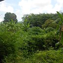    -  ,  -  4  2015    2014.  .  3-.