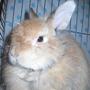 ���� ����������, ������ ������, 36 ��� - ��������� 4 ���� 2015 � ������ ���� �����