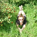 ���� ������, ������ �������� - ��������� 4 ������� 2015 � ������ ���� ����������