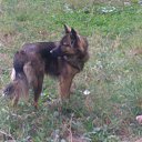 ���� Vit, ������ - ��������� 8 ������� 2015 � ������ ���� ����������