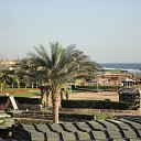 ���� Alex, ������, 65 ��� - ��������� 27 ������ 2016 � ������ �Egypt'16�