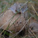 ���� �, �������� - ��������� 12 ������� 2015 � ������ ���������