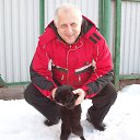 ���� �������, �������, 68 ��� - ��������� 9 ������ 2016 � ������ ���� ����������