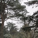  , , 60  -  29  2016     ,23.01.16.