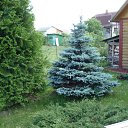 ���� ~Andre, ����� - ��������� 9 ������� 2015 � ������ ���� ����������