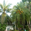 ���� �����, �������� - ��������� 25 ������ 2016 � ������ �������