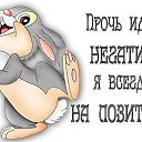���� �������, ����� - ��������� 11 ������� 2015 � ������ ������ ��������