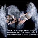���� ����, ������ - ��������� 8 ������� 2016 � ������ ������ ��������