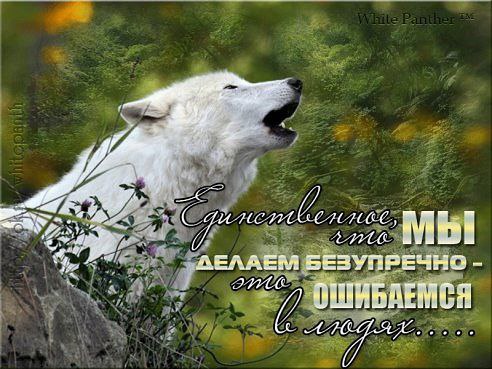 ������ - 27 �������� 2015 � 09:01