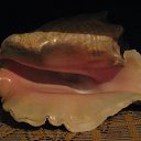 ���� �������, �������� - ��������� 25 ������� 2016 � ������ �������Ȼ