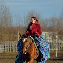 ���� �������, �����-���������, 48 ��� - ��������� 10 ������ 2015 � ������ ����� � ������