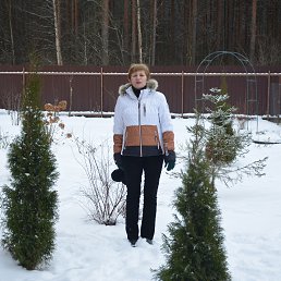 ����, �����-���������, 67 ���