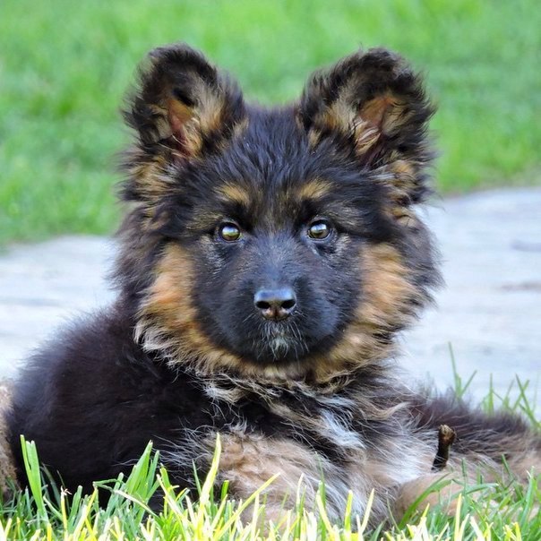 Look at this... 🌏 - 27 ������ 2015 � 09:05