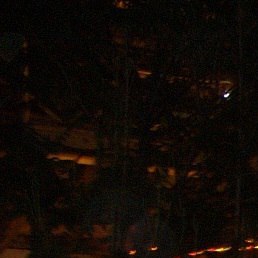 �������, �����