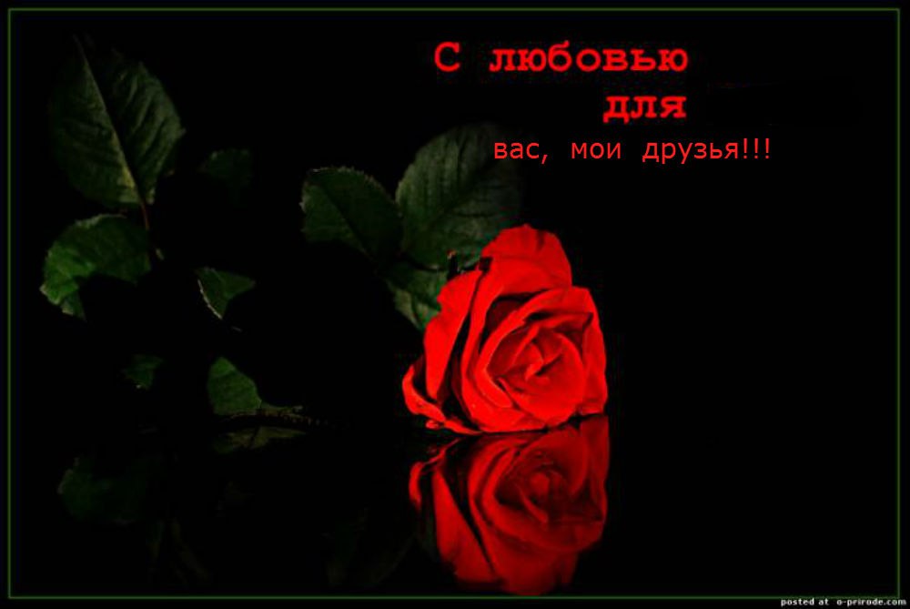 Мы-разные, разбросаны по свету.В пространстве на пяти материках, Мелькаем огоньками в интернете, ...