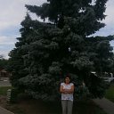 ���� �������, ������, 68 ��� - ��������� 6 ������� 2015 � ������ ���� ����������