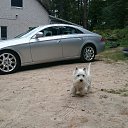 ���� ������, ������������, 45 ��� - ��������� 23 ������� 2016 � ������ ������ ��������