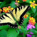  ,  -  18  2016     Ȼ