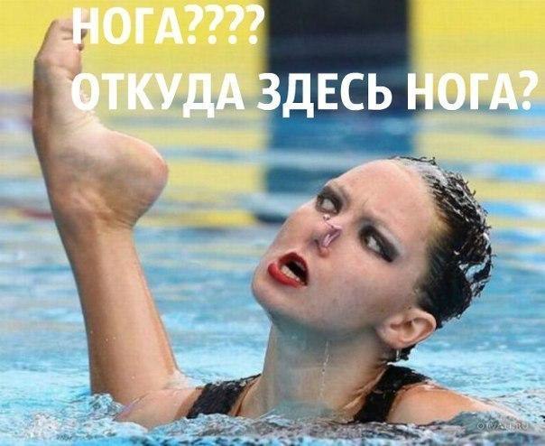 -  - 6  2016  00:14