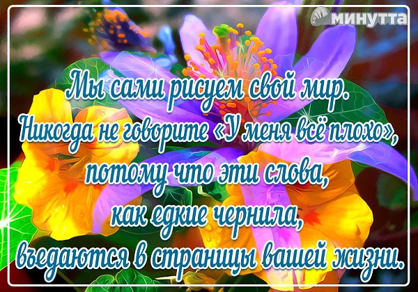 Svetlana - 9 ����� 2016 � 16:10