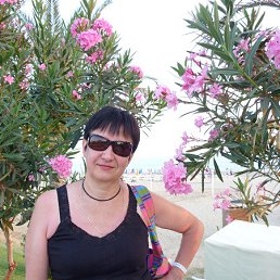 �������, ����, 66 ���