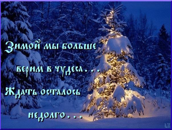 �������� - 24 ������ 2015 � 06:53