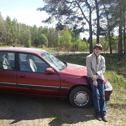 �����, �����������, 33 ����