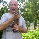 ���� �������, ������, 78 ��� - ��������� 6 ������� 2016 � ������ ���� ����������