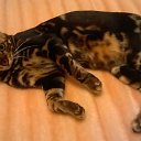 ���� ����, �������� - ��������� 16 ������� 2015 � ������ ���� ����������