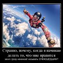 ���� ������ ����������, ������, 61 ��� - ��������� 14 ������� 2016 � ������ ������ ��������